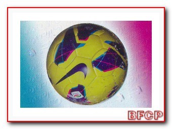 PALLONE INVERNALE