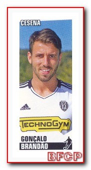Goncalo BRANDAO